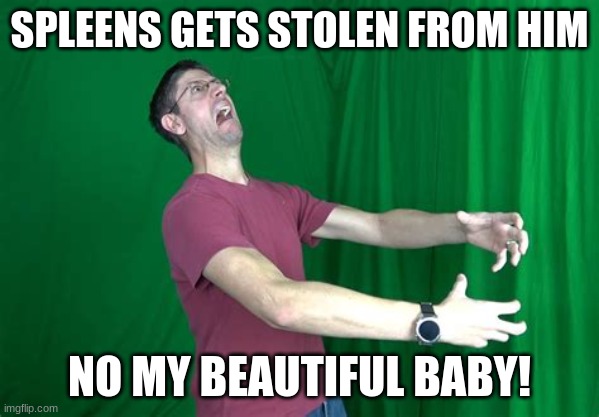 GrayStillPlays Relizing That Spleens Is Missing | SPLEENS GETS STOLEN FROM HIM; NO MY BEAUTIFUL BABY! | image tagged in graystillplays rage | made w/ Imgflip meme maker