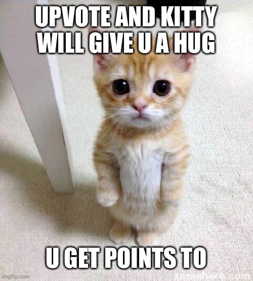 U get points it’s a win win | UPVOTE AND KITTY WILL GIVE U A HUG; U GET POINTS TO | image tagged in memes,cute cat | made w/ Imgflip meme maker