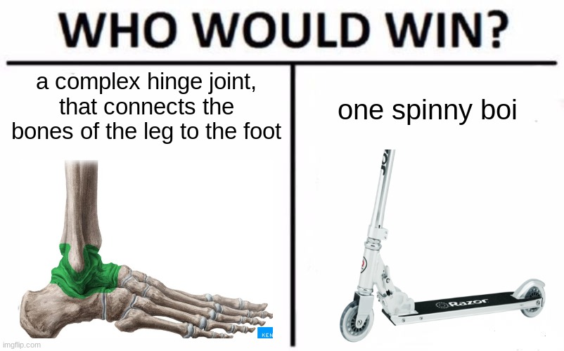 Who Would Win? Meme | a complex hinge joint, that connects the bones of the leg to the foot; one spinny boi | image tagged in memes,who would win | made w/ Imgflip meme maker