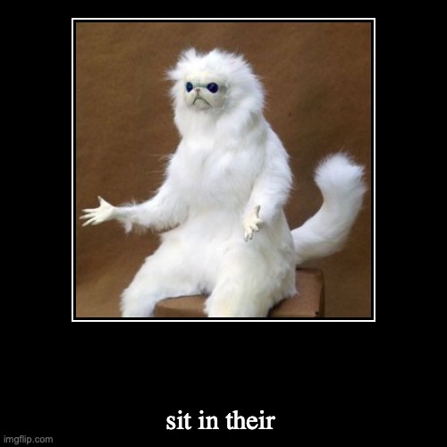 cat | image tagged in funny | made w/ Imgflip demotivational maker