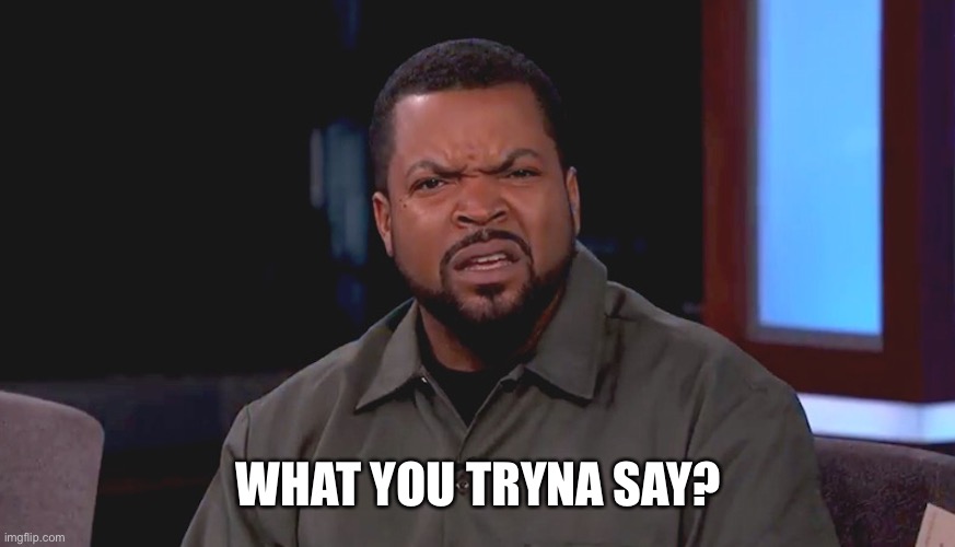 Really? Ice Cube | WHAT YOU TRYNA SAY? | image tagged in really ice cube | made w/ Imgflip meme maker