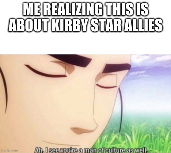 Ah I see you're a man of culture as well | ME REALIZING THIS IS ABOUT KIRBY STAR ALLIES | image tagged in ah i see you're a man of culture as well | made w/ Imgflip meme maker