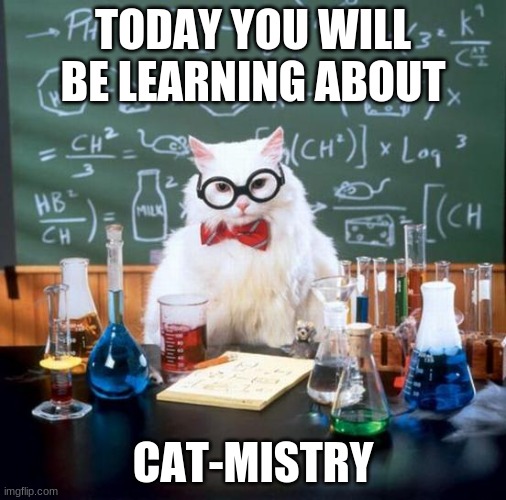 Chemistry Cat Meme | TODAY YOU WILL BE LEARNING ABOUT; CAT-MISTRY | image tagged in memes,chemistry cat | made w/ Imgflip meme maker