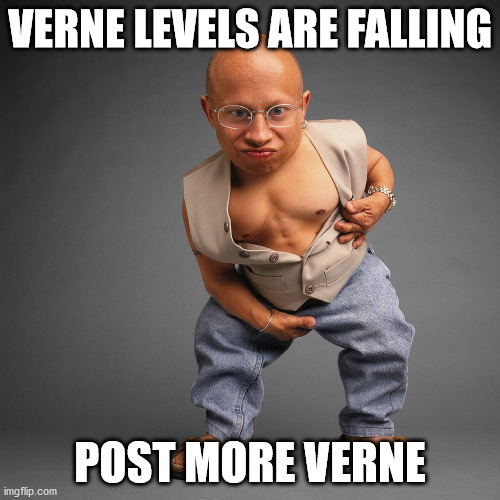 VERNE LEVELS ARE FALLING; POST MORE VERNE | made w/ Imgflip meme maker