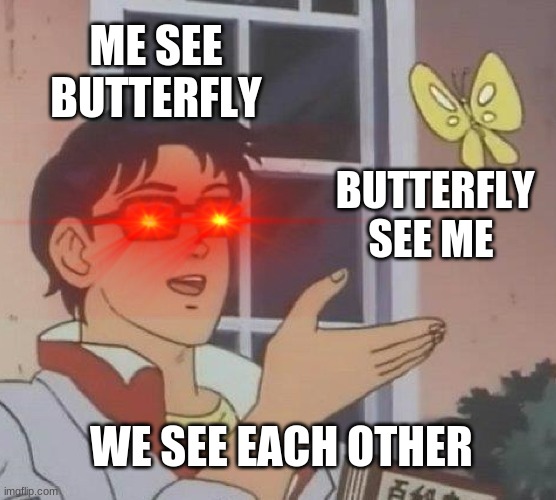 Is This A Pigeon Meme | ME SEE BUTTERFLY; BUTTERFLY SEE ME; WE SEE EACH OTHER | image tagged in memes,is this a pigeon | made w/ Imgflip meme maker