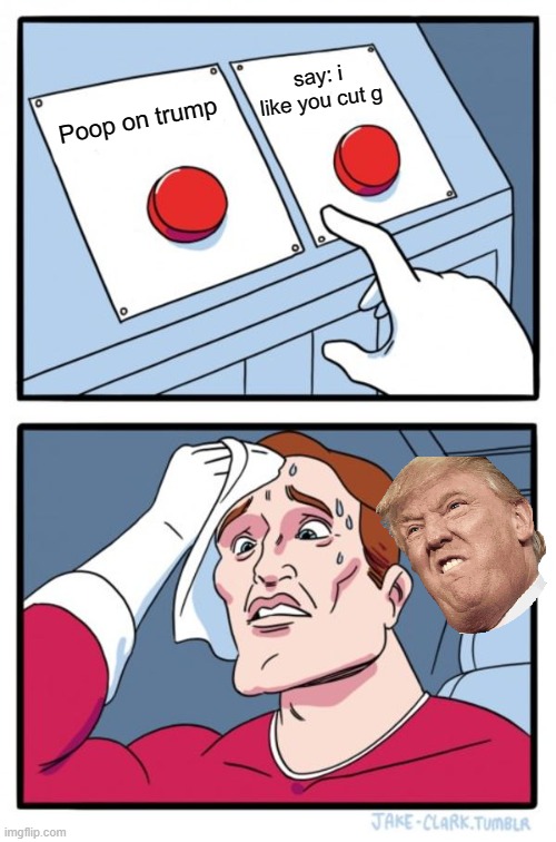 Two Buttons Meme | say: i like you cut g; Poop on trump | image tagged in memes,two buttons | made w/ Imgflip meme maker