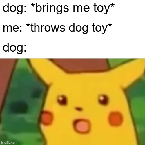 We love doggos | dog: *brings me toy*; me: *throws dog toy*; dog: | image tagged in memes,surprised pikachu,dogs,puppy,doggo | made w/ Imgflip meme maker