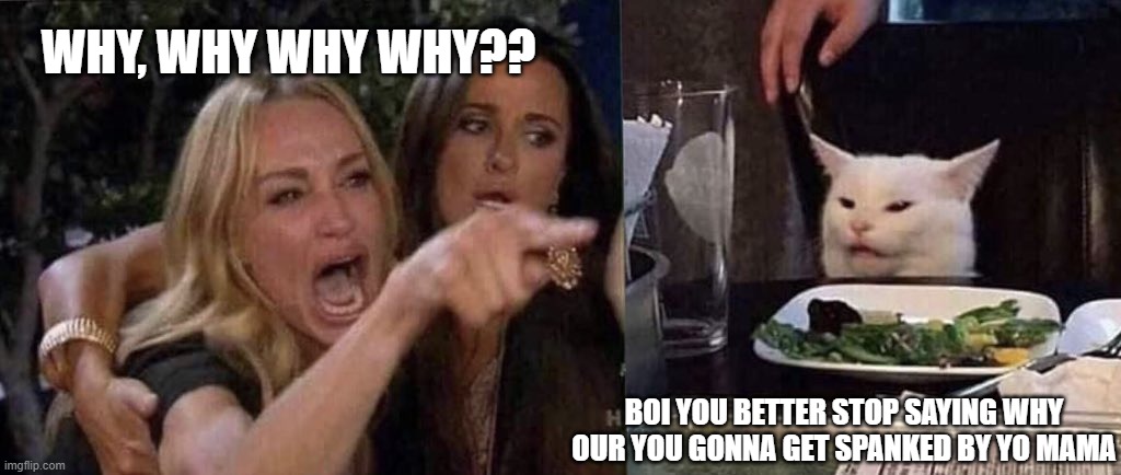 woman yelling at cat | WHY, WHY WHY WHY?? BOI YOU BETTER STOP SAYING WHY OUR YOU GONNA GET SPANKED BY YO MAMA | image tagged in woman yelling at cat | made w/ Imgflip meme maker