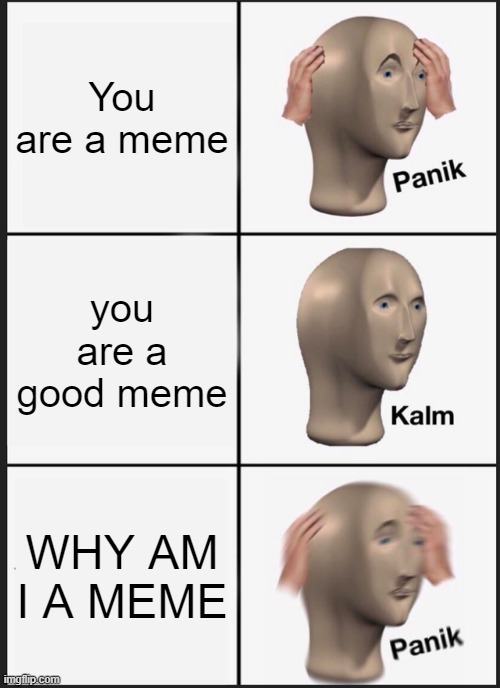 Panik Kalm Panik Meme | You are a meme; you are a good meme; WHY AM I A MEME | image tagged in memes,panik kalm panik | made w/ Imgflip meme maker