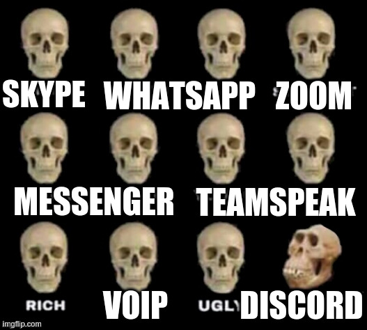 Chat Client 101 | SKYPE WHATSAPP ZOOM MESSENGER DISCORD TEAMSPEAK VOIP | image tagged in idiot skull | made w/ Imgflip meme maker