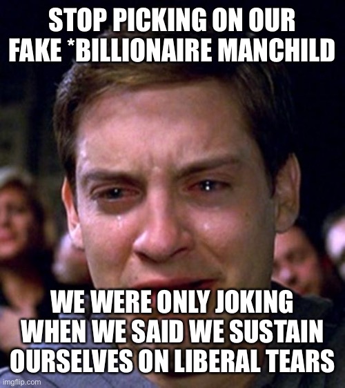 crying peter parker | STOP PICKING ON OUR FAKE *BILLIONAIRE MANCHILD WE WERE ONLY JOKING WHEN WE SAID WE SUSTAIN OURSELVES ON LIBERAL TEARS | image tagged in crying peter parker | made w/ Imgflip meme maker