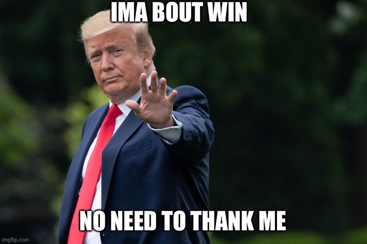 DONALD TRUMP | IMA BOUT WIN; NO NEED TO THANK ME | image tagged in donald trump | made w/ Imgflip meme maker