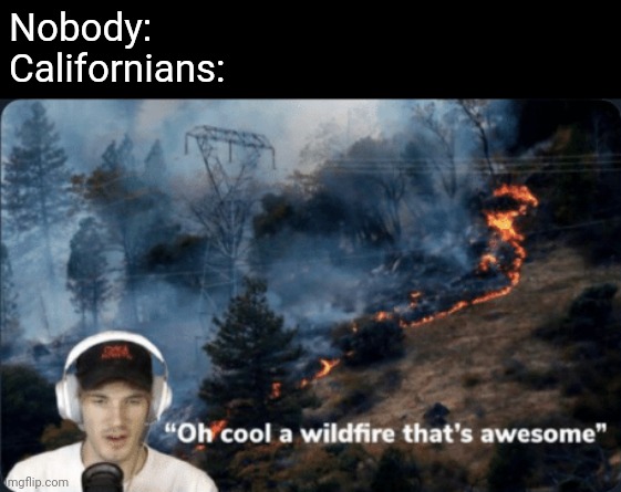 Pewdiepie wildfire | Nobody:
Californians: | image tagged in pewdiepie wildfire,repost,e,memes,funny,yntbtbtvevvd | made w/ Imgflip meme maker