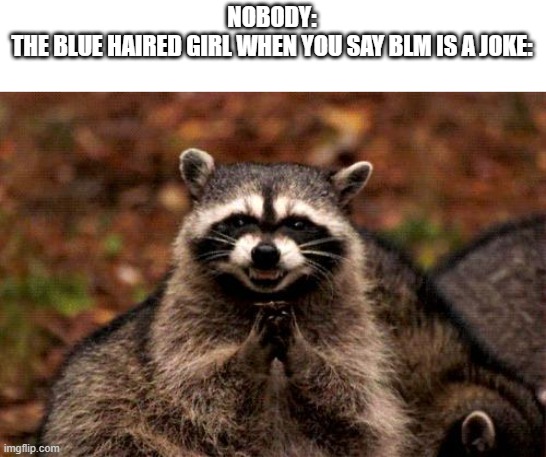 It Do Be Like That | NOBODY:
THE BLUE HAIRED GIRL WHEN YOU SAY BLM IS A JOKE: | image tagged in memes,evil plotting raccoon | made w/ Imgflip meme maker