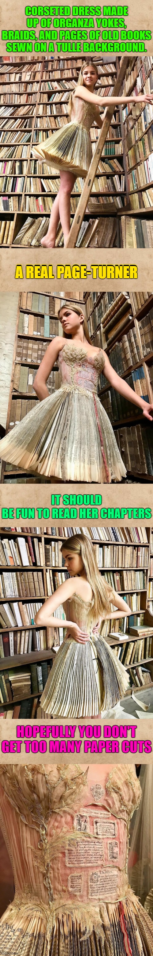A dress made from books. That's certainly a novel idea.. | CORSETED DRESS MADE UP OF ORGANZA YOKES, BRAIDS, AND PAGES OF OLD BOOKS SEWN ON A TULLE BACKGROUND. A REAL PAGE-TURNER; A REAL PAGE-TURNER; IT SHOULD BE FUN TO READ HER CHAPTERS; HOPEFULLY YOU DON'T GET TOO MANY PAPER CUTS | image tagged in memes,robe livre,sylvie facon,france,salome bellet,art | made w/ Imgflip meme maker