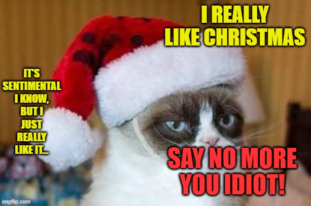 White Wine in the Sun | I REALLY LIKE CHRISTMAS; IT'S SENTIMENTAL I KNOW, BUT I JUST REALLY LIKE IT... SAY NO MORE YOU IDIOT! | image tagged in christmas grumpy cat,cats,music meme,grumpy cat not amused,christmas songs,funny | made w/ Imgflip meme maker