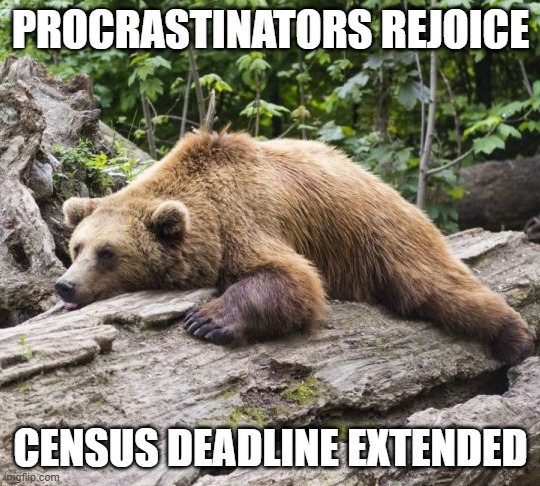 Census Deadline Extended | PROCRASTINATORS REJOICE; CENSUS DEADLINE EXTENDED | image tagged in procrastination bear | made w/ Imgflip meme maker