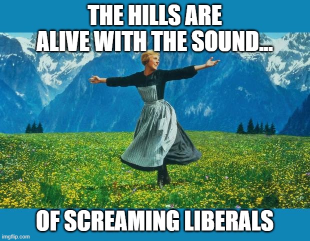 the sound of music happiness | THE HILLS ARE ALIVE WITH THE SOUND... OF SCREAMING LIBERALS | image tagged in the sound of music happiness | made w/ Imgflip meme maker