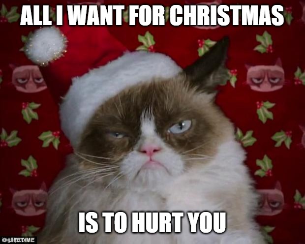 Grumpy Cat Christmas | ALL I WANT FOR CHRISTMAS; IS TO HURT YOU | image tagged in grumpy cat christmas,memes,cats,grumpy cat,funny,grumpy cat not amused | made w/ Imgflip meme maker