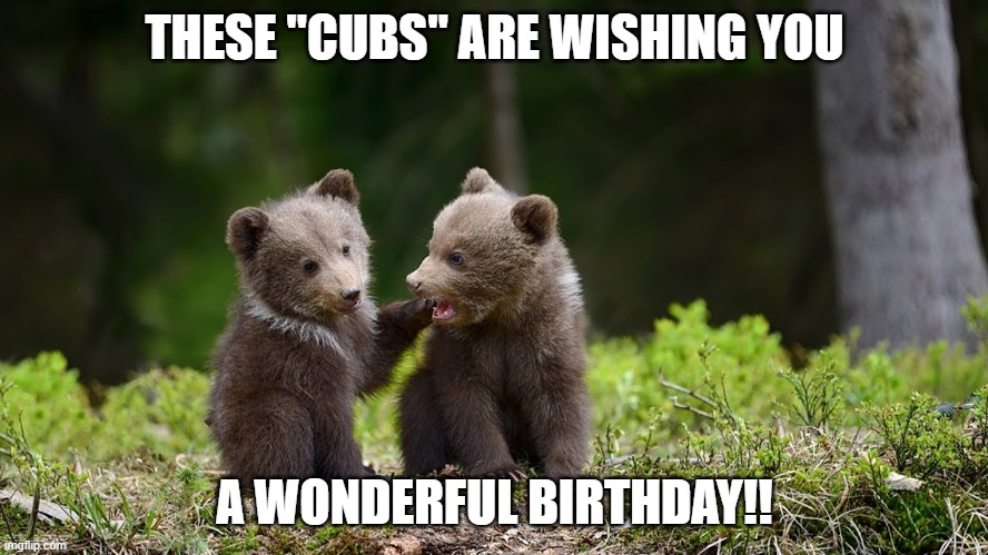 Happy birthday to a Cubs  fan | THESE "CUBS" ARE WISHING YOU; A WONDERFUL BIRTHDAY!! | image tagged in birthday,bear cubs | made w/ Imgflip meme maker