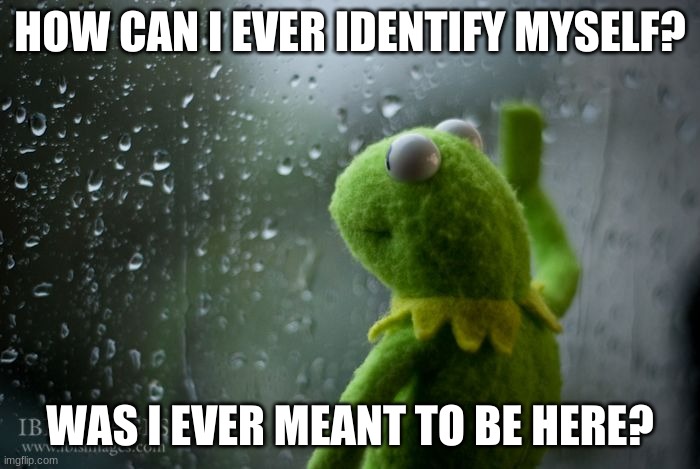 Sad times with being emo. | HOW CAN I EVER IDENTIFY MYSELF? WAS I EVER MEANT TO BE HERE? | image tagged in kermit window | made w/ Imgflip meme maker