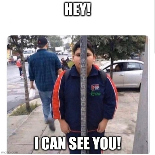 Hiding in plain sight | HEY! I CAN SEE YOU! | image tagged in hiding in plain sight | made w/ Imgflip meme maker