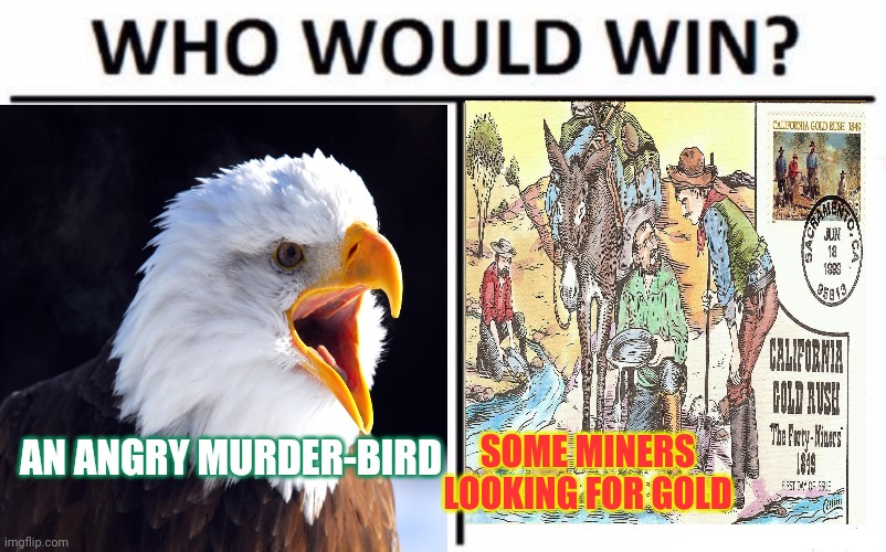 Eagles vs 49ers |  AN ANGRY MURDER-BIRD; SOME MINERS LOOKING FOR GOLD | image tagged in philadelphia eagles,eagles,nfl football | made w/ Imgflip meme maker