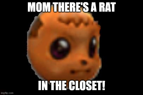 Eevee xd | MOM THERE'S A RAT; IN THE CLOSET! | image tagged in eevee xd | made w/ Imgflip meme maker