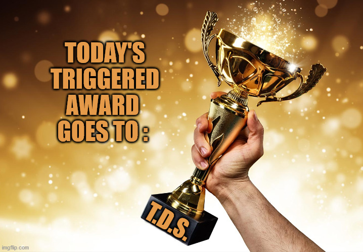 Triggered Award | TODAY'S 
TRIGGERED AWARD 
GOES TO :; T.D.S. | image tagged in trump derangement syndrome | made w/ Imgflip meme maker