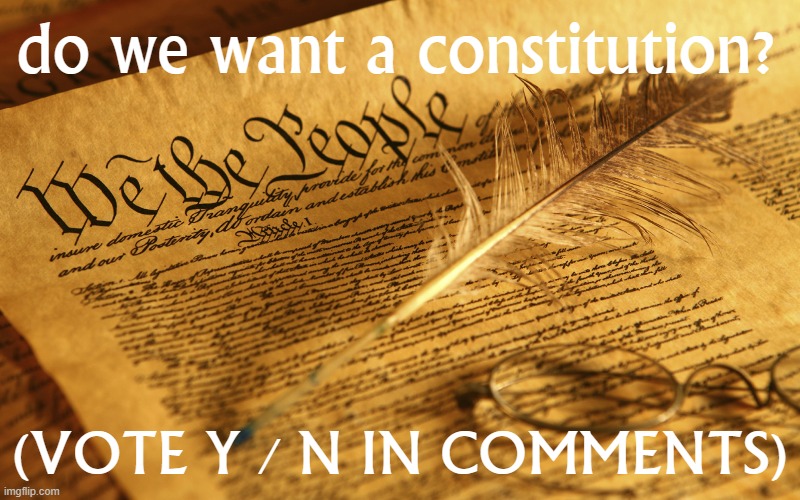 I find the idea of writing a roleplay constitution together as a stream very exciting, but I guess I should ask first. | do we want a constitution? (VOTE Y / N IN COMMENTS) | image tagged in constitution high resolution,constitution,the constitution,constitutional convention,government | made w/ Imgflip meme maker