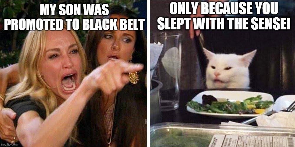 Karate moms have got it going on.... | ONLY BECAUSE YOU SLEPT WITH THE SENSEI; MY SON WAS PROMOTED TO BLACK BELT | image tagged in smudge the cat | made w/ Imgflip meme maker