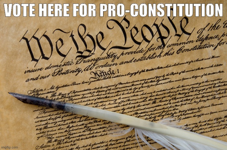 yo dawg heard u liked constitutions. Vote here! | VOTE HERE FOR PRO-CONSTITUTION | image tagged in constitution | made w/ Imgflip meme maker