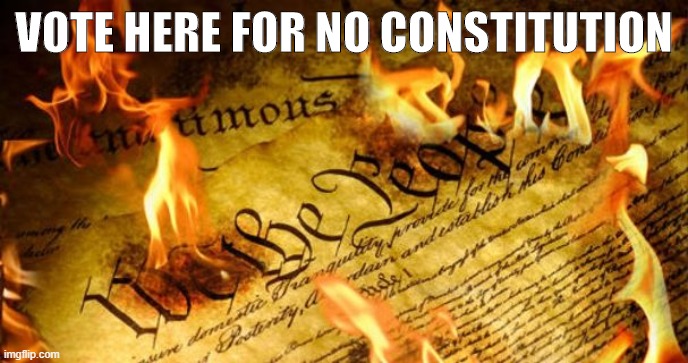 yo dawg heard u didn’t like constitutions. Vote here! | VOTE HERE FOR NO CONSTITUTION | image tagged in constitution in flames | made w/ Imgflip meme maker