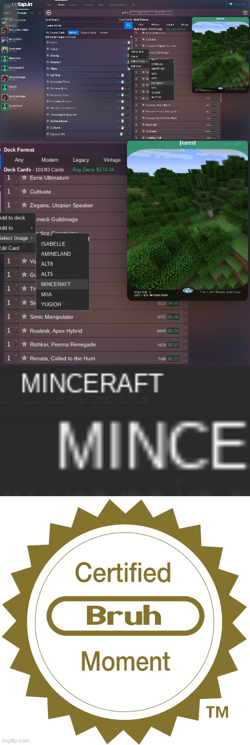 minceraft. | image tagged in certified bruh moment,minceraft,minecraft,typo | made w/ Imgflip meme maker