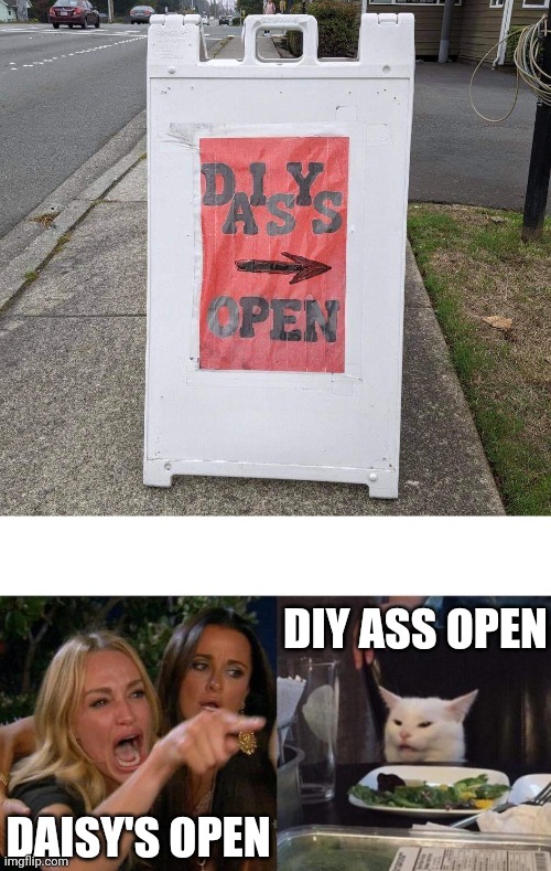 DIY ASS OPEN | DIY ASS OPEN; DAISY'S OPEN | image tagged in memes,woman yelling at cat,funny | made w/ Imgflip meme maker