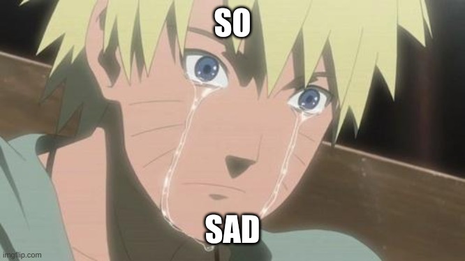 Finishing anime | SO SAD | image tagged in finishing anime | made w/ Imgflip meme maker