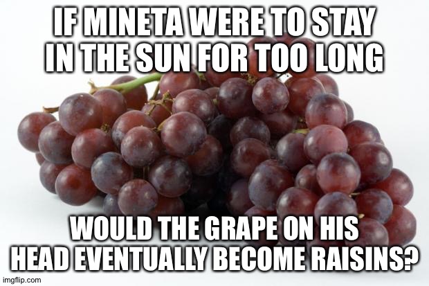 D e r p | IF MINETA WERE TO STAY IN THE SUN FOR TOO LONG; WOULD THE GRAPE ON HIS HEAD EVENTUALLY BECOME RAISINS? | image tagged in grapes | made w/ Imgflip meme maker