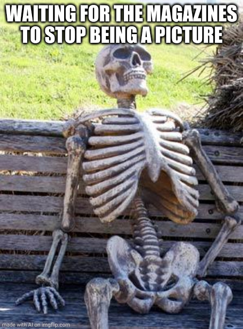 Waiting Skeleton | WAITING FOR THE MAGAZINES TO STOP BEING A PICTURE | image tagged in memes,waiting skeleton | made w/ Imgflip meme maker