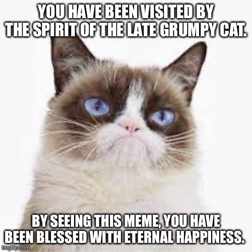 He has visited | YOU HAVE BEEN VISITED BY THE SPIRIT OF THE LATE GRUMPY CAT. BY SEEING THIS MEME, YOU HAVE BEEN BLESSED WITH ETERNAL HAPPINESS. | image tagged in grumpy cat | made w/ Imgflip meme maker