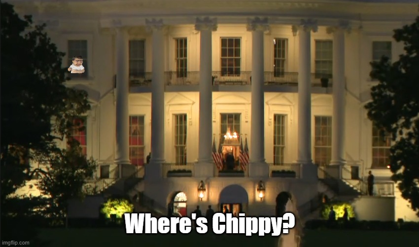 Where's Chippy? | Where's Chippy? | image tagged in wheres chippy,here chippy chippy,wheres my chippy | made w/ Imgflip meme maker