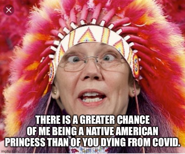 Pocahontas Warren | THERE IS A GREATER CHANCE OF ME BEING A NATIVE AMERICAN PRINCESS THAN OF YOU DYING FROM COVID. | image tagged in pocahontas warren | made w/ Imgflip meme maker