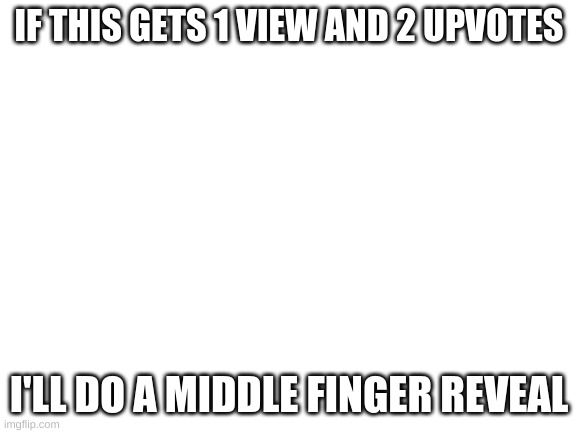 Blank White Template | IF THIS GETS 1 VIEW AND 2 UPVOTES; I'LL DO A MIDDLE FINGER REVEAL | image tagged in blank white template | made w/ Imgflip meme maker