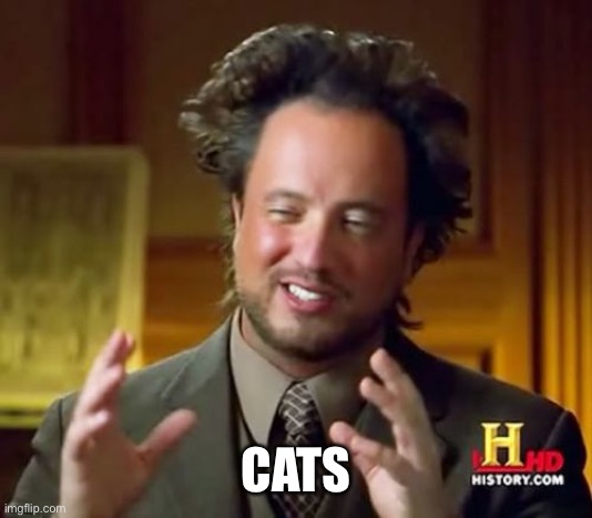 Ancient Aliens Meme | CATS | image tagged in memes,ancient aliens,cats | made w/ Imgflip meme maker