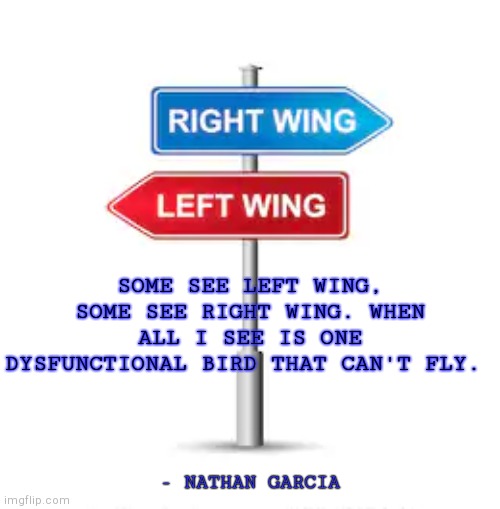 SOME SEE LEFT WING, SOME SEE RIGHT WING. WHEN ALL I SEE IS ONE DYSFUNCTIONAL BIRD THAT CAN'T FLY. - NATHAN GARCIA | made w/ Imgflip meme maker