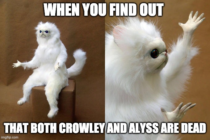 Persian Cat Room Guardian | WHEN YOU FIND OUT; THAT BOTH CROWLEY AND ALYSS ARE DEAD | image tagged in memes,persian cat room guardian | made w/ Imgflip meme maker