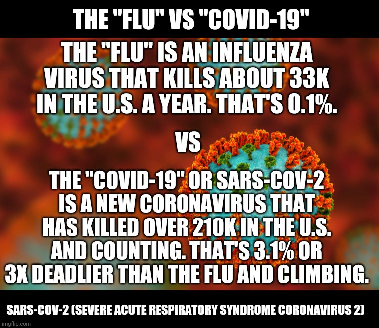 Flu virus | THE "FLU" VS "COVID-19"; THE "FLU" IS AN INFLUENZA VIRUS THAT KILLS ABOUT 33K IN THE U.S. A YEAR. THAT'S 0.1%. VS; THE "COVID-19" OR SARS-COV-2 IS A NEW CORONAVIRUS THAT HAS KILLED OVER 210K IN THE U.S. AND COUNTING. THAT'S 3.1% OR 3X DEADLIER THAN THE FLU AND CLIMBING. SARS-COV-2 (SEVERE ACUTE RESPIRATORY SYNDROME CORONAVIRUS 2) | image tagged in flu virus,anti trump,political meme,covid | made w/ Imgflip meme maker