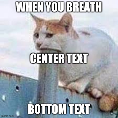 HAHA VERY LOL ( VERY OMEGA FUNI) | WHEN YOU BREATH; CENTER TEXT; BOTTOM TEXT | image tagged in suck my pole | made w/ Imgflip meme maker
