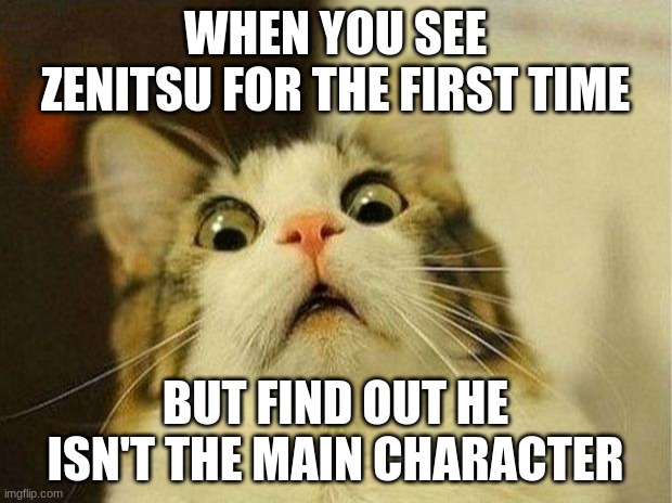 Scared Cat Meme | WHEN YOU SEE ZENITSU FOR THE FIRST TIME; BUT FIND OUT HE ISN'T THE MAIN CHARACTER | image tagged in anime,cats | made w/ Imgflip meme maker