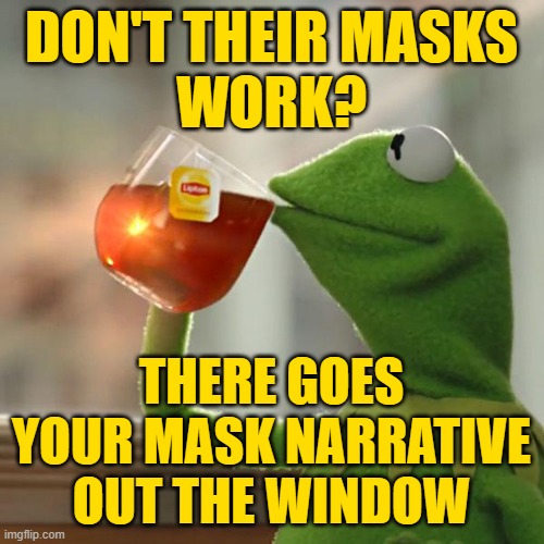 But That's None Of My Business Meme | DON'T THEIR MASKS
WORK? THERE GOES YOUR MASK NARRATIVE OUT THE WINDOW | image tagged in memes,but that's none of my business,kermit the frog | made w/ Imgflip meme maker