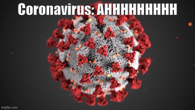 Coronavirus: AHHHHHHHHH | made w/ Imgflip meme maker